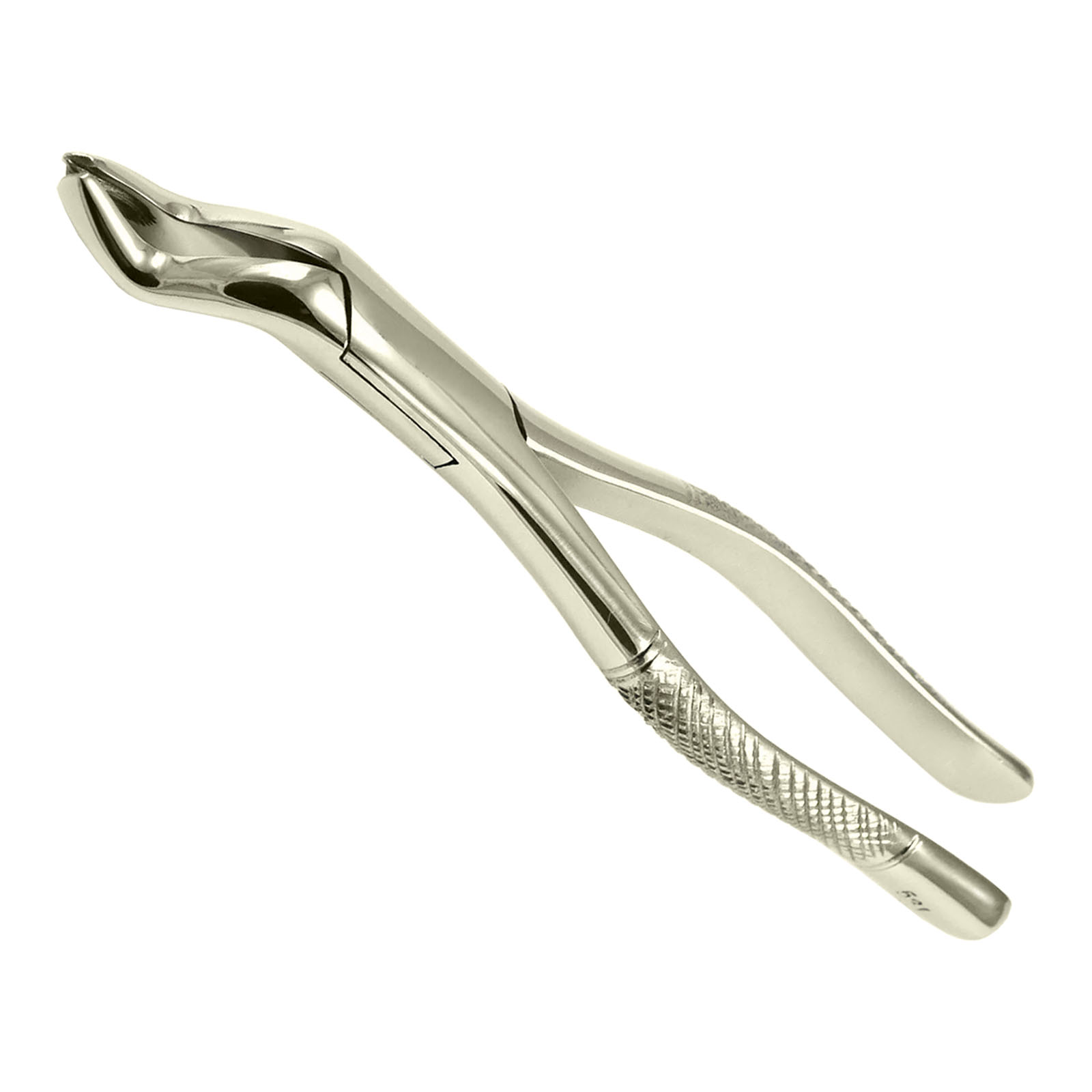 Immagine di Fig 53L Pinza per Estrazione Molare Superiore | Pinza Chirurgica Dentale Jamor in Acciaio Inossidabile