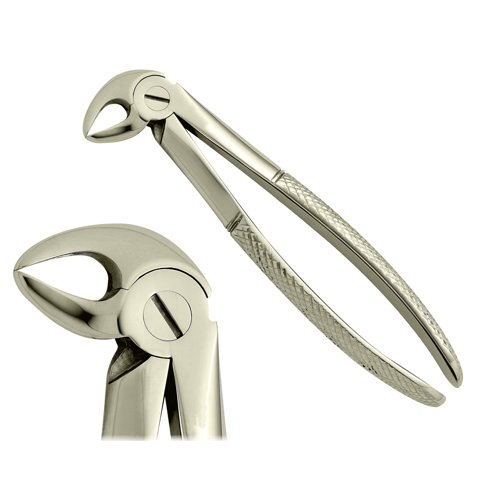 Bild von Zahnextraktionszange Fig 33 