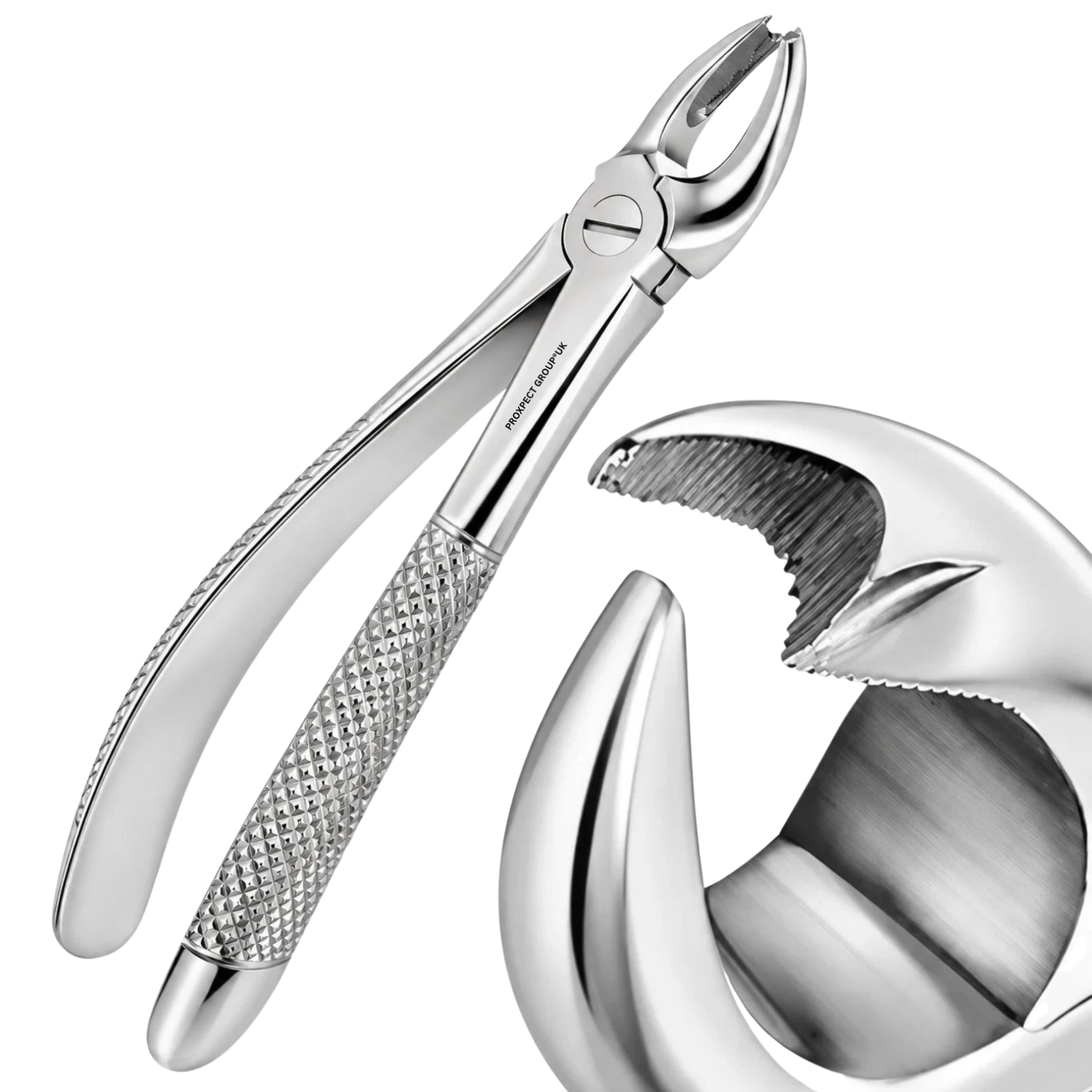 Titel: Zahnextraktionszange Nr. 89 Oralchirurgisches Instrument
